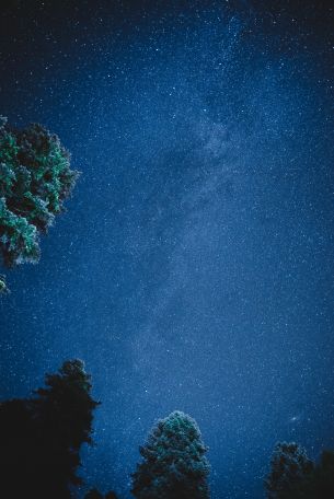 starry sky, night Wallpaper 2832x4240