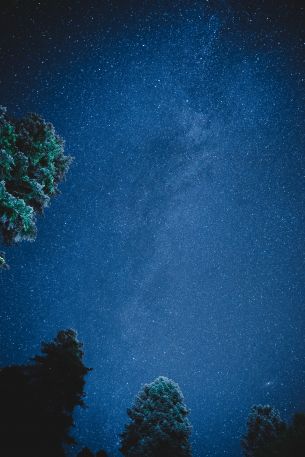 starry sky, night Wallpaper 640x960