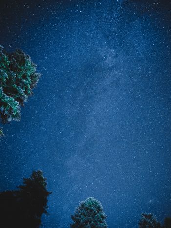 starry sky, night Wallpaper 1620x2160