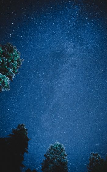 starry sky, night Wallpaper 800x1280