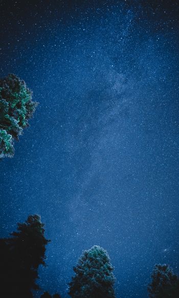 starry sky, night Wallpaper 1200x2000