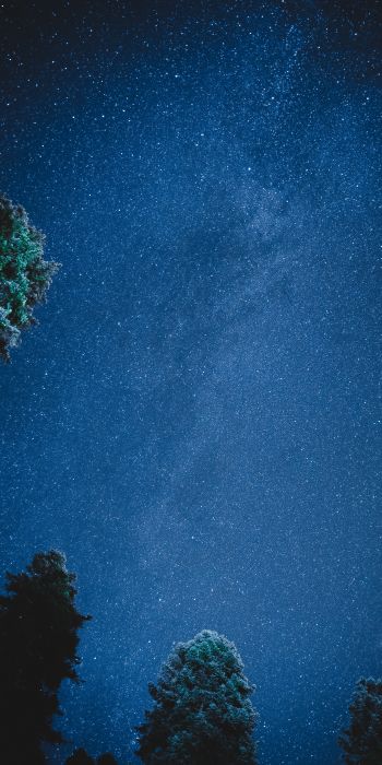starry sky, night Wallpaper 720x1440