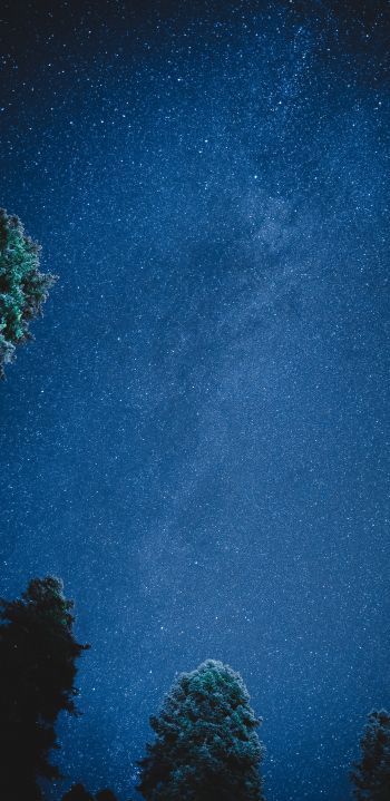 starry sky, night Wallpaper 1440x2960