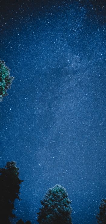 starry sky, night Wallpaper 1080x2280