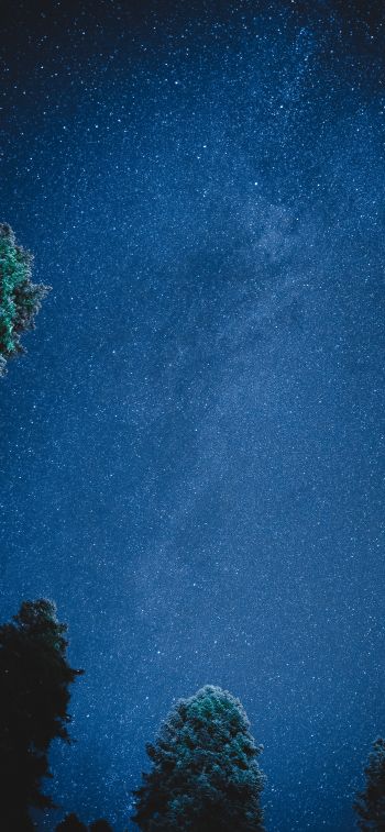 starry sky, night Wallpaper 828x1792