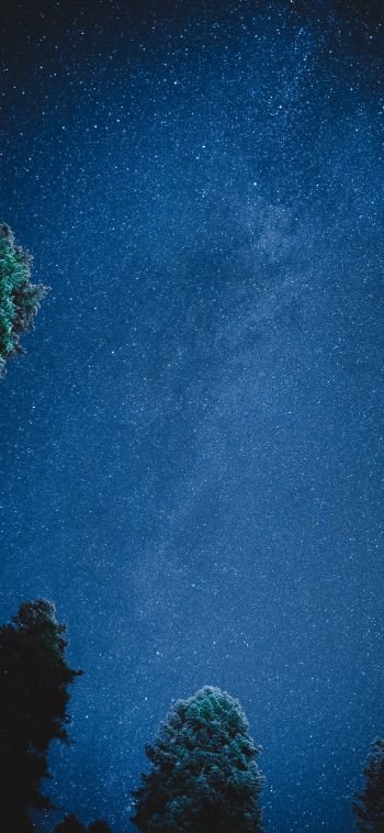 starry sky, night Wallpaper 1080x2340