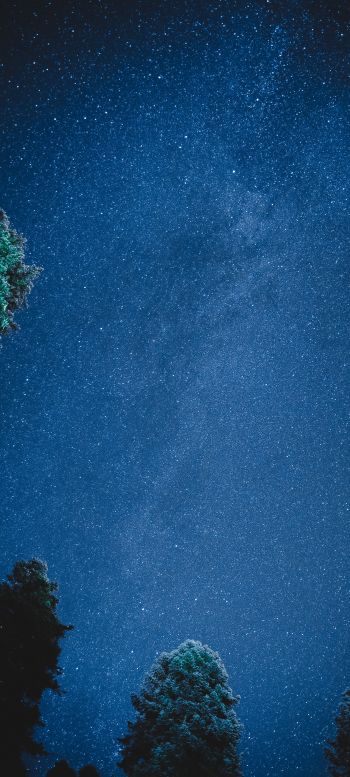 starry sky, night Wallpaper 1440x3200