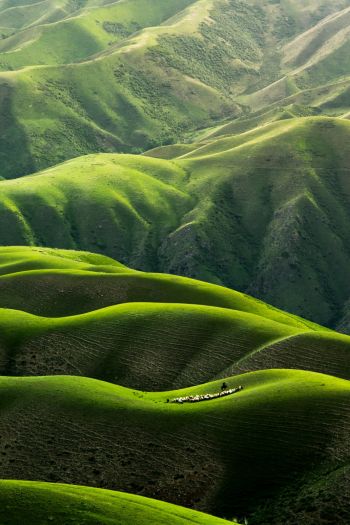China, mountains, green Wallpaper 640x960