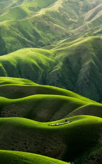 China, mountains, green Wallpaper 800x1280