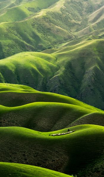 China, mountains, green Wallpaper 600x1024