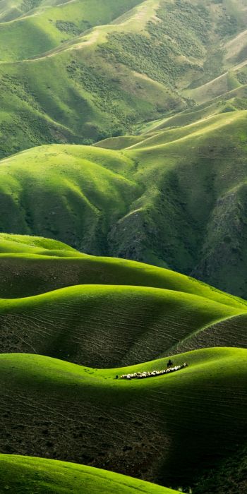 China, mountains, green Wallpaper 720x1440