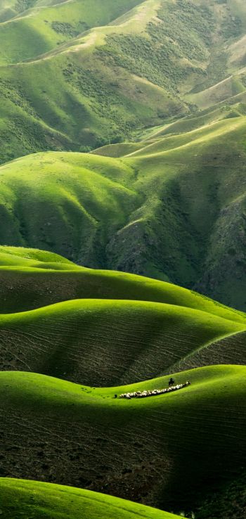 China, mountains, green Wallpaper 720x1520