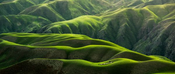 China, mountains, green Wallpaper 2560x1080