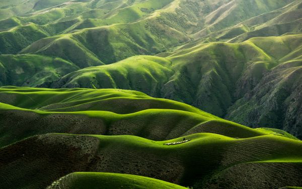 China, mountains, green Wallpaper 1920x1200