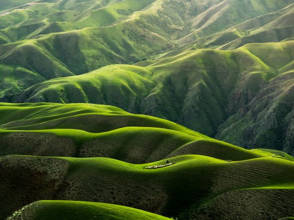 China, mountains, green Wallpaper 800x600
