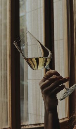 glass, wine, hand Wallpaper 600x1024