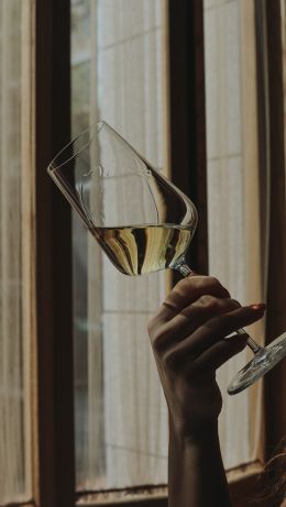 glass, wine, hand Wallpaper 640x1136