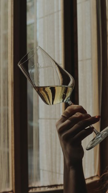 glass, wine, hand Wallpaper 640x1136