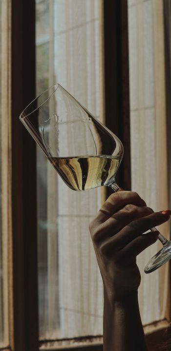 glass, wine, hand Wallpaper 1080x2220