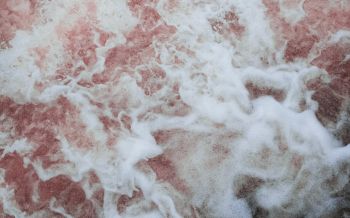 sea waves Wallpaper 2560x1600