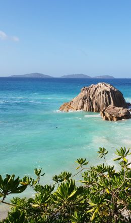 La-Dig, Seychelles, sea, sun, palm trees Wallpaper 600x1024