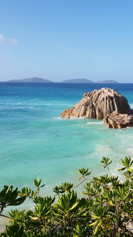 La-Dig, Seychelles, sea, sun, palm trees Wallpaper 1440x2560