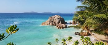 La-Dig, Seychelles, sea, sun, palm trees Wallpaper 2560x1080