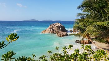 La-Dig, Seychelles, sea, sun, palm trees Wallpaper 1366x768