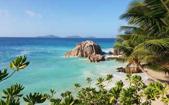 La-Dig, Seychelles, sea, sun, palm trees Wallpaper 2560x1600