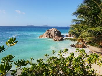 La-Dig, Seychelles, sea, sun, palm trees Wallpaper 1024x768