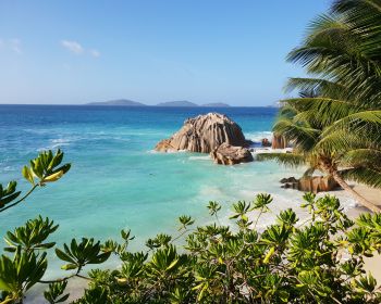 La-Dig, Seychelles, sea, sun, palm trees Wallpaper 1280x1024