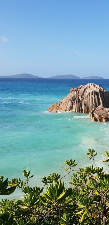 La-Dig, Seychelles, sea, sun, palm trees Wallpaper 1080x2220