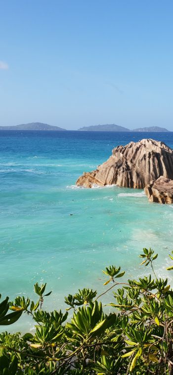 La-Dig, Seychelles, sea, sun, palm trees Wallpaper 1080x2340
