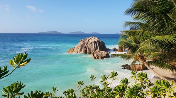 La-Dig, Seychelles, sea, sun, palm trees Wallpaper 2560x1440