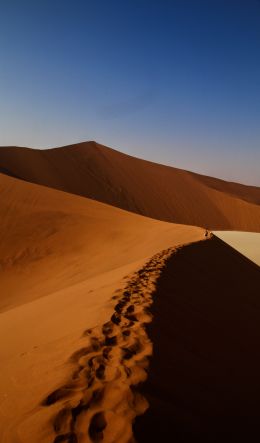 Deadley, Sossusvlei, Namibia, desert Wallpaper 600x1024