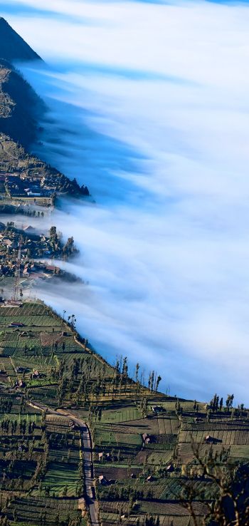 mountain Bromo, Indonesia, fog Wallpaper 1080x2280