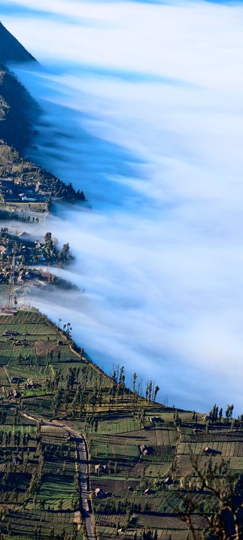 mountain Bromo, Indonesia, fog Wallpaper 1080x2400