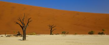 Deadley, Sossusvlei, Namibia, desert Wallpaper 3440x1440