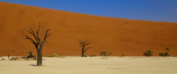 Обои 2560x1080 Дедвлей, Соссусфлей, Намибия, пустыня