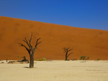 Обои 800x600 Дедвлей, Соссусфлей, Намибия, пустыня