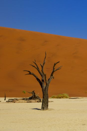 Обои 640x960 Дедвлей, Соссусфлей, Намибия, пустыня