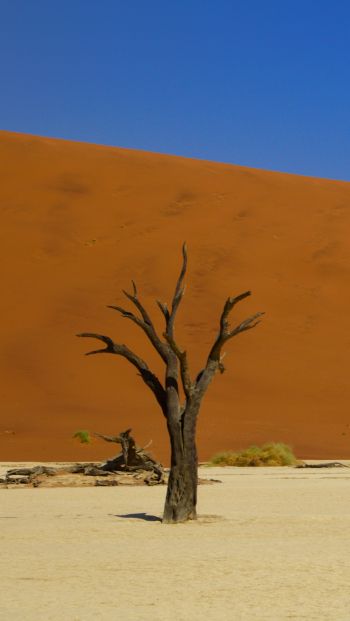 Обои 640x1136 Дедвлей, Соссусфлей, Намибия, пустыня