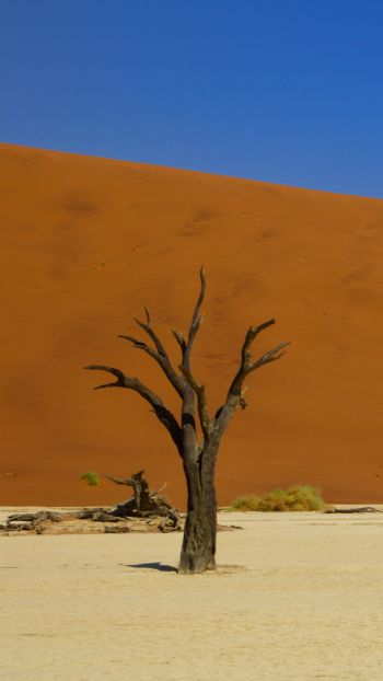 Обои 750x1334 Дедвлей, Соссусфлей, Намибия, пустыня