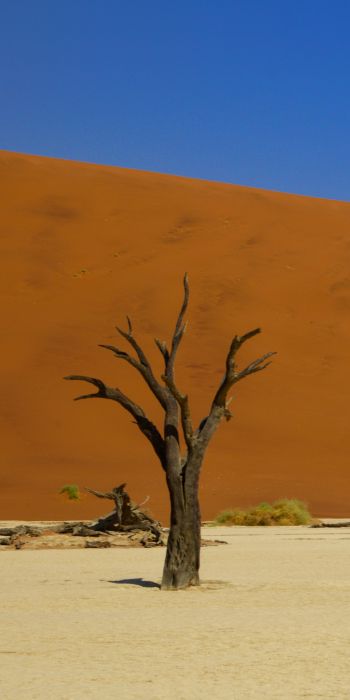 Deadley, Sossusvlei, Namibia, desert Wallpaper 720x1440