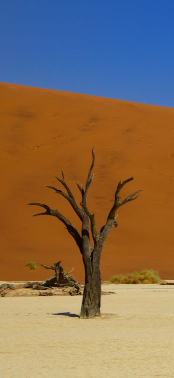 Обои 828x1792 Дедвлей, Соссусфлей, Намибия, пустыня