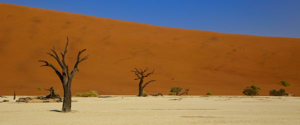 Deadley, Sossusvlei, Namibia, desert Wallpaper 3440x1440