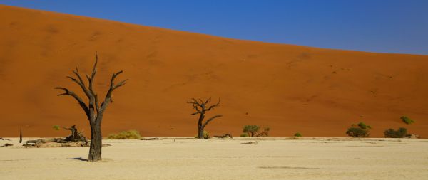 Deadley, Sossusvlei, Namibia, desert Wallpaper 2560x1080
