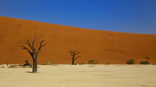 Обои 1280x720 Дедвлей, Соссусфлей, Намибия, пустыня