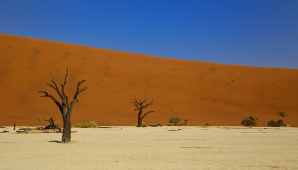 Deadley, Sossusvlei, Namibia, desert Wallpaper 4910x2800