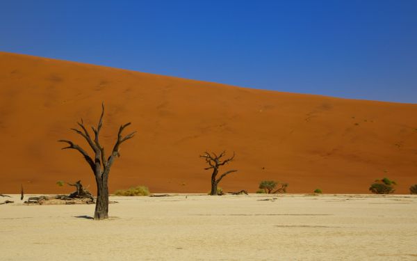 Обои 1920x1200 Дедвлей, Соссусфлей, Намибия, пустыня